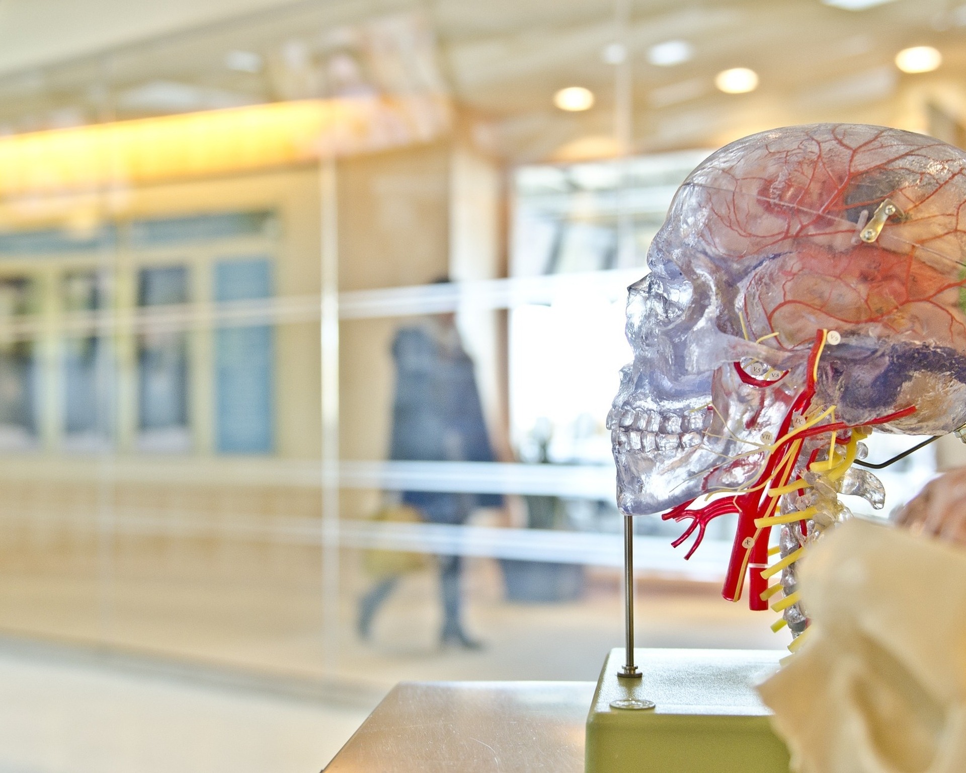 Neurologie Neurologie